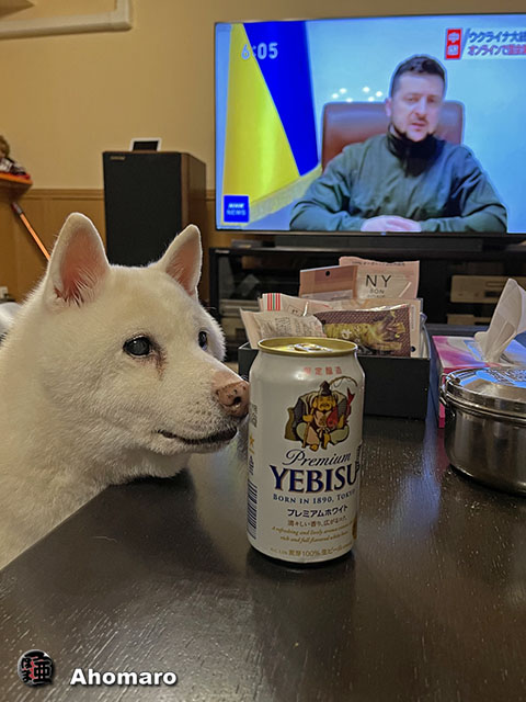 ʐ^00