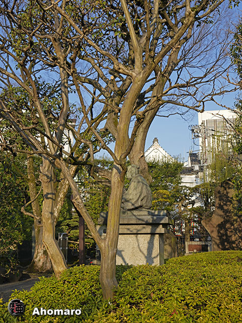 写真00