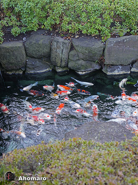 写真00