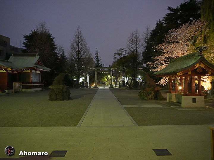 写真00
