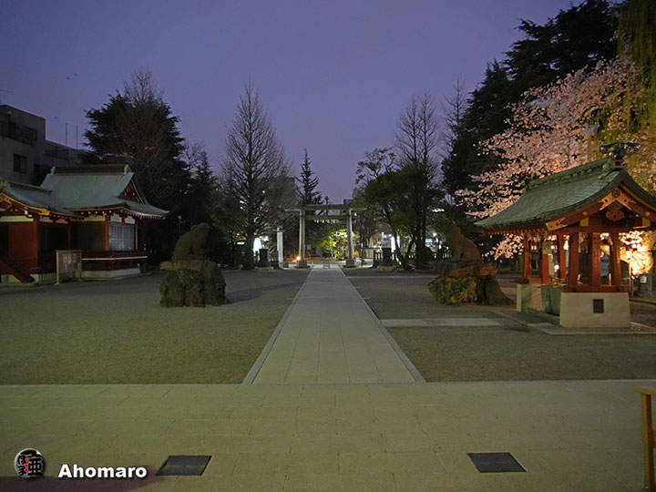 写真00