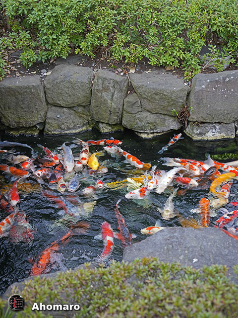 写真00