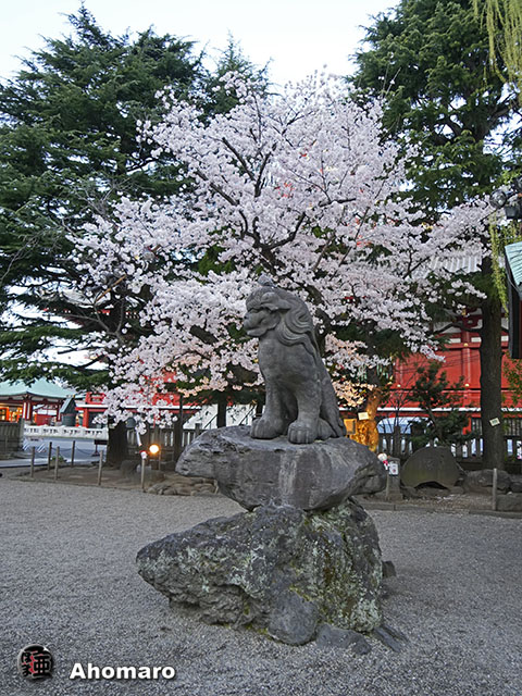 写真00