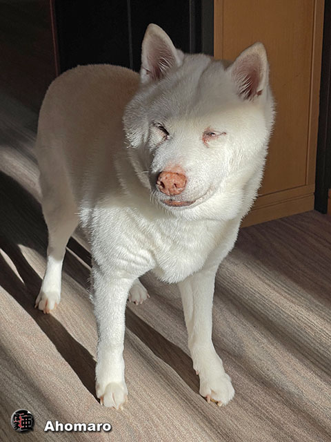 ʐ^00