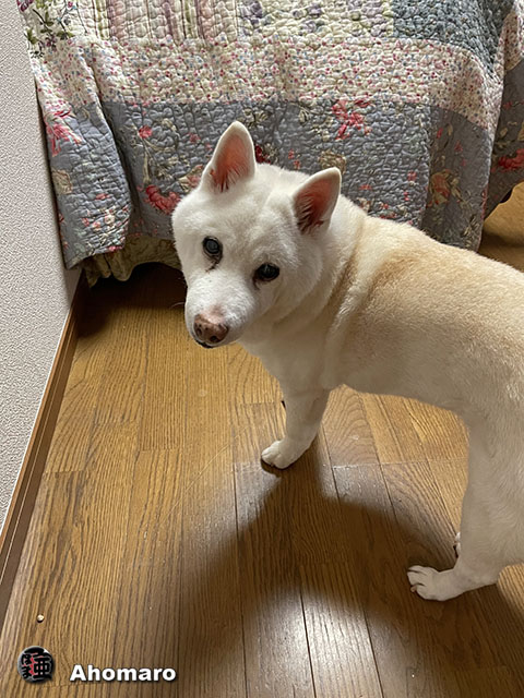 ʐ^00