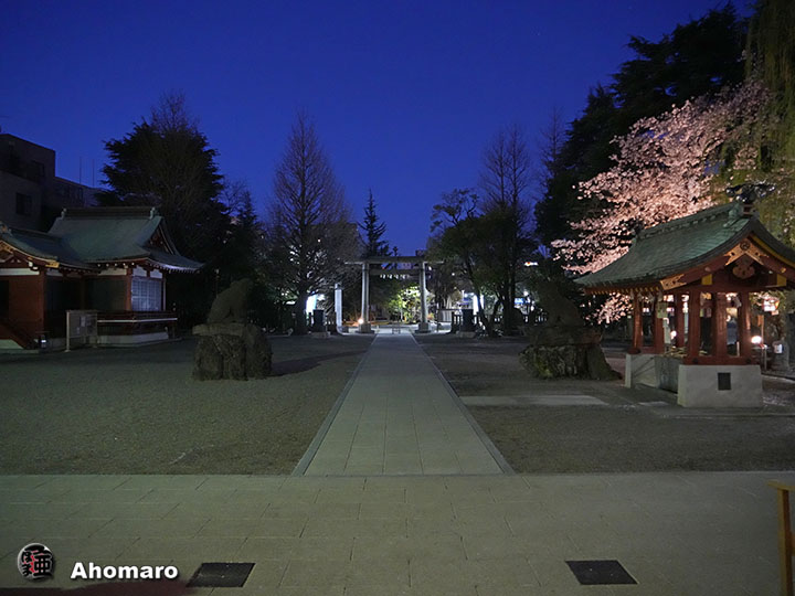 写真00