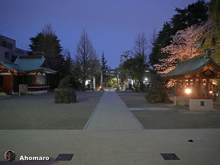写真00