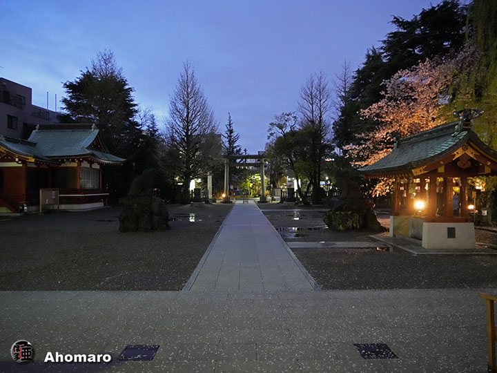 写真00