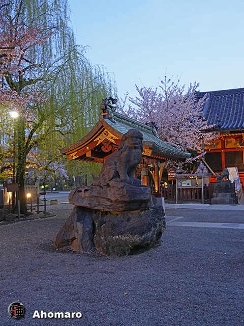 写真00