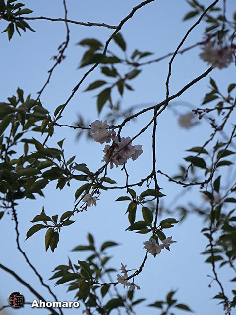 写真00