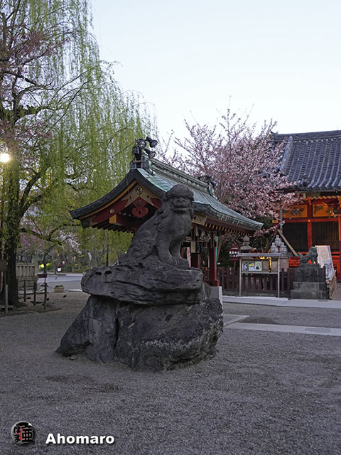 写真00