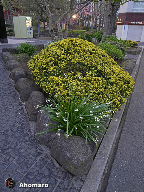 写真00
