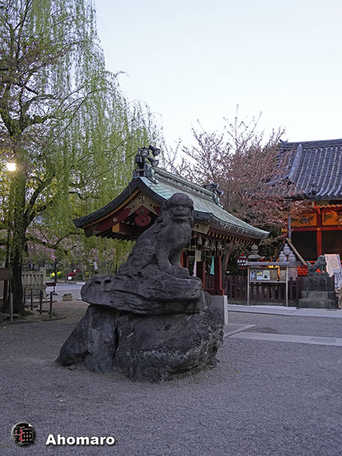 写真00