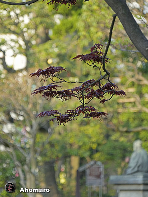写真00