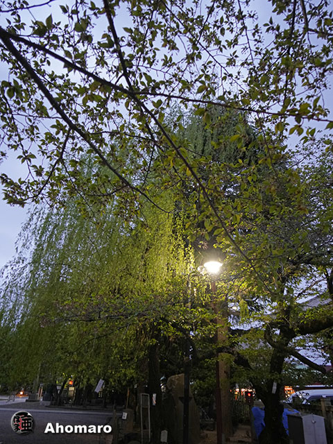 写真00