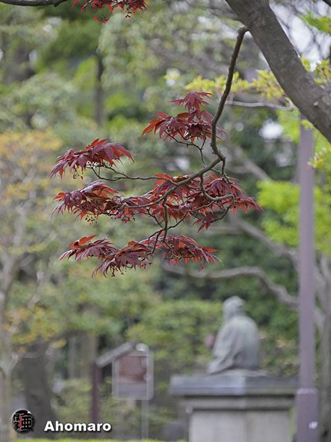 写真00