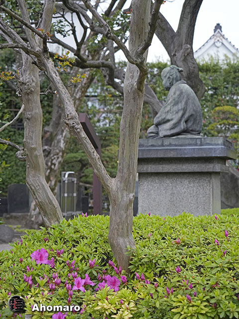 写真00