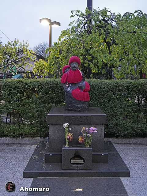 写真00