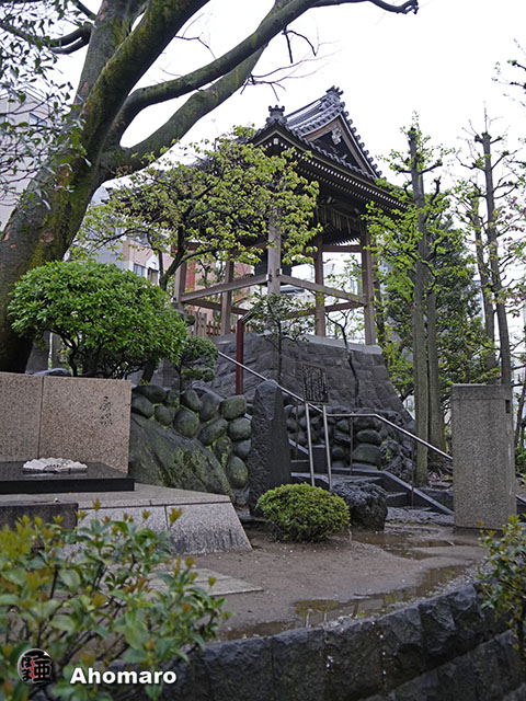 写真00