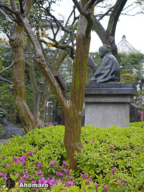 写真00