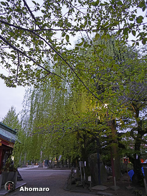 写真00
