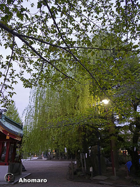 写真00