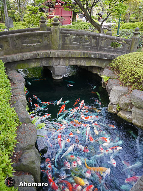 写真00