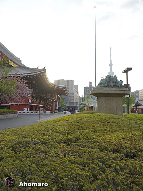 写真00