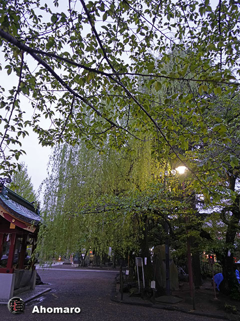 写真00