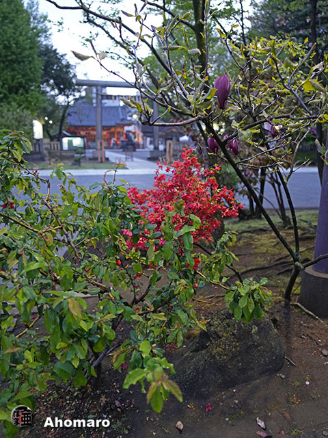 写真00