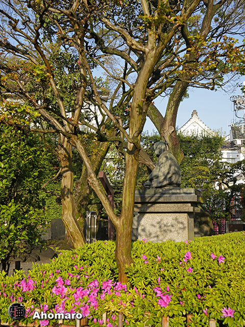 写真00