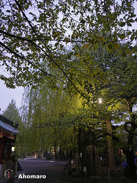 写真00