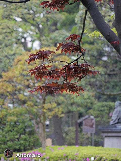 写真00