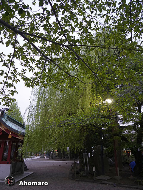 写真00