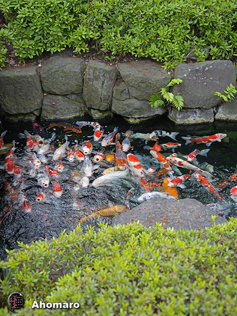 写真00