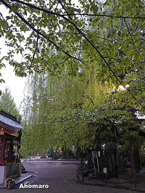 写真00