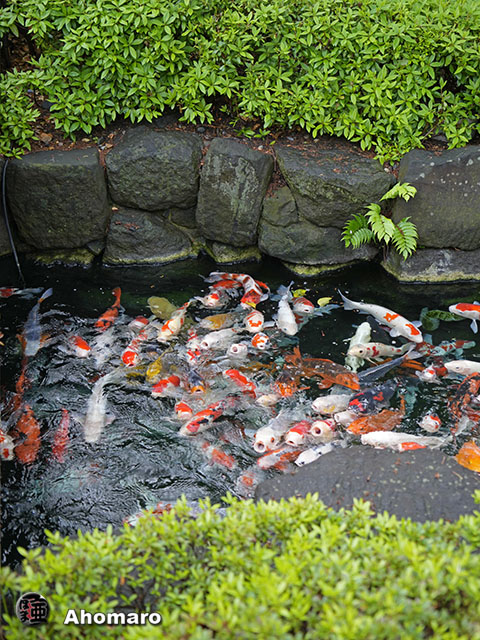 写真00