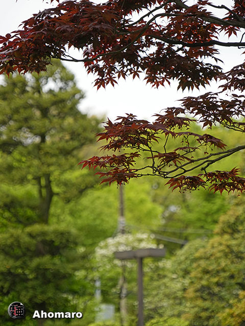 写真00