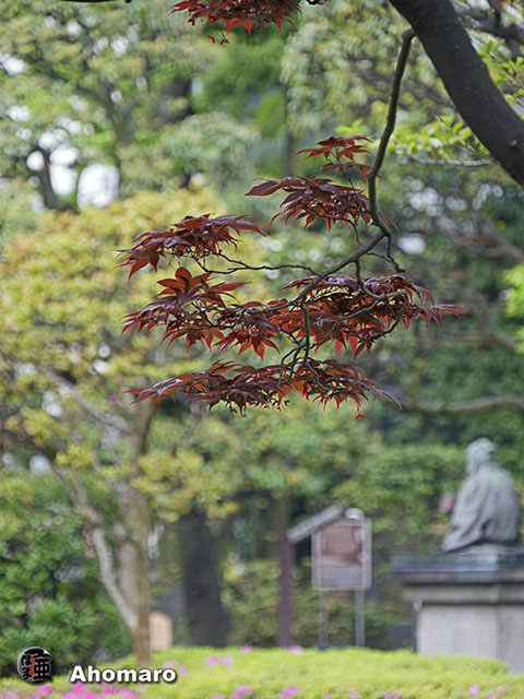 写真00