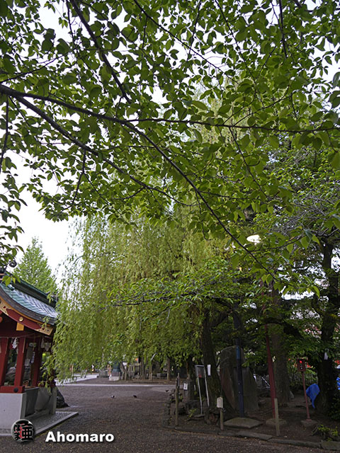 写真00