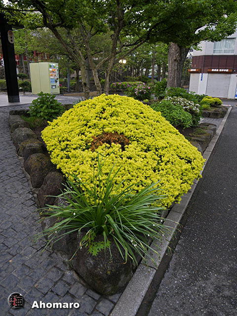 写真00