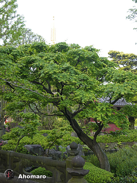 写真00