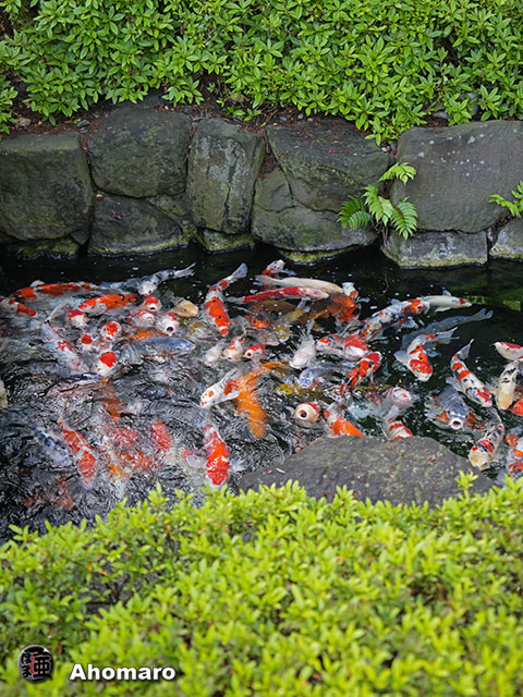 写真00
