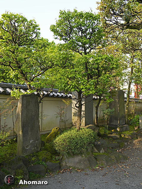 写真00