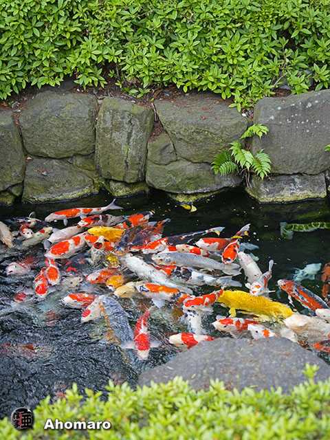 写真00