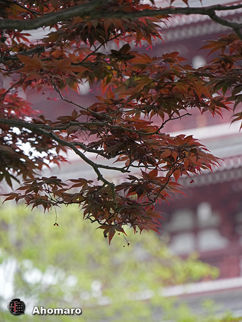 写真00