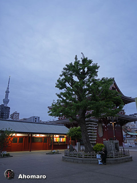 写真00