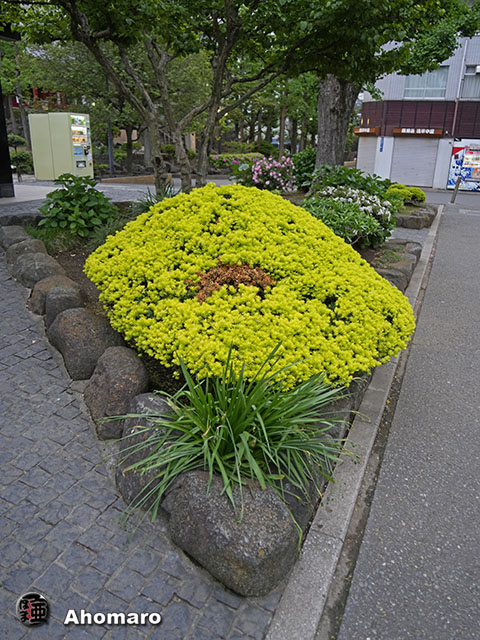 写真00