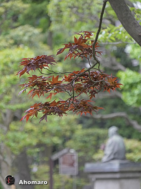 写真00