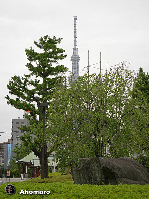 写真00